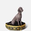 New I Baroque Pet Bed Pet Accessories