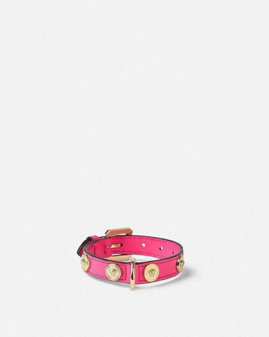 New Icon Small Pet Collar Pet Accessories