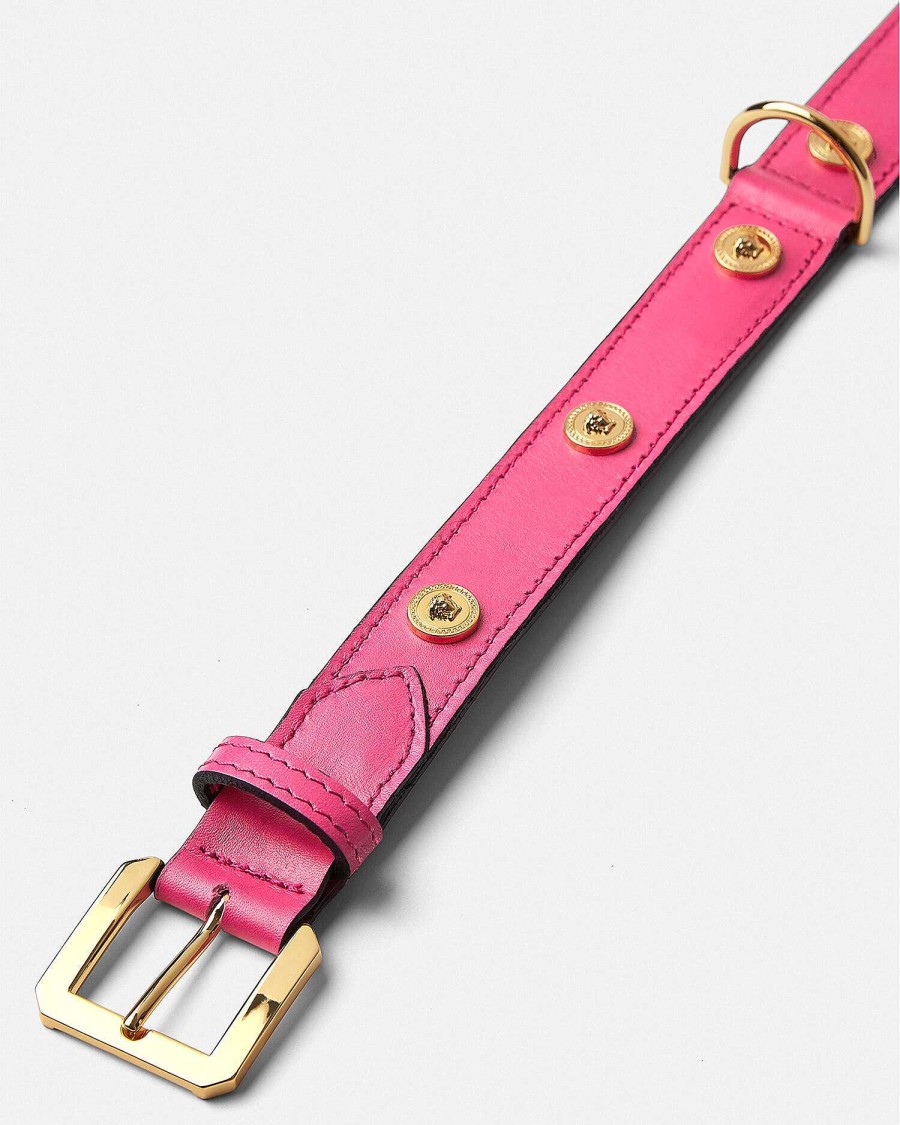 Hot Icon Large Pet Collar Pet Accessories