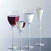 Hot Medusa Lumiere Champagne Flut Glassware